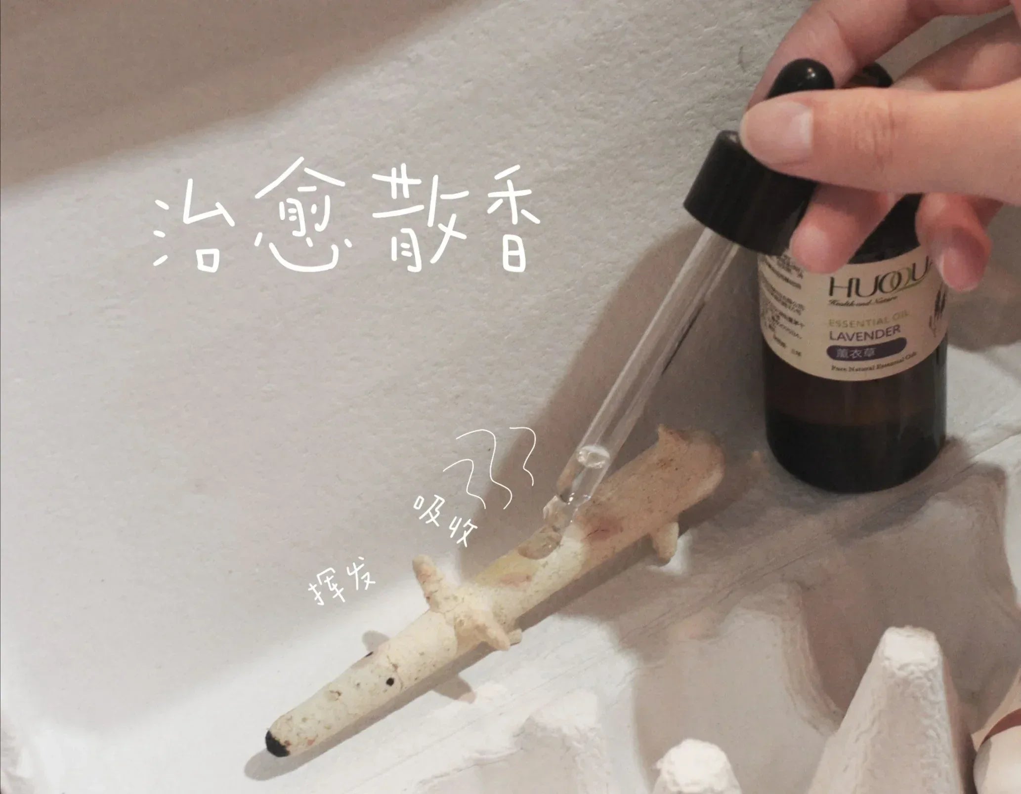 Single dog | Earthenware animal | Set - PetCeramicArt