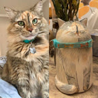 Personalized Cat Urn