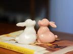 Jade Rabbit Ceramic Ornament | Desktop Decoration - PetCeramicArt