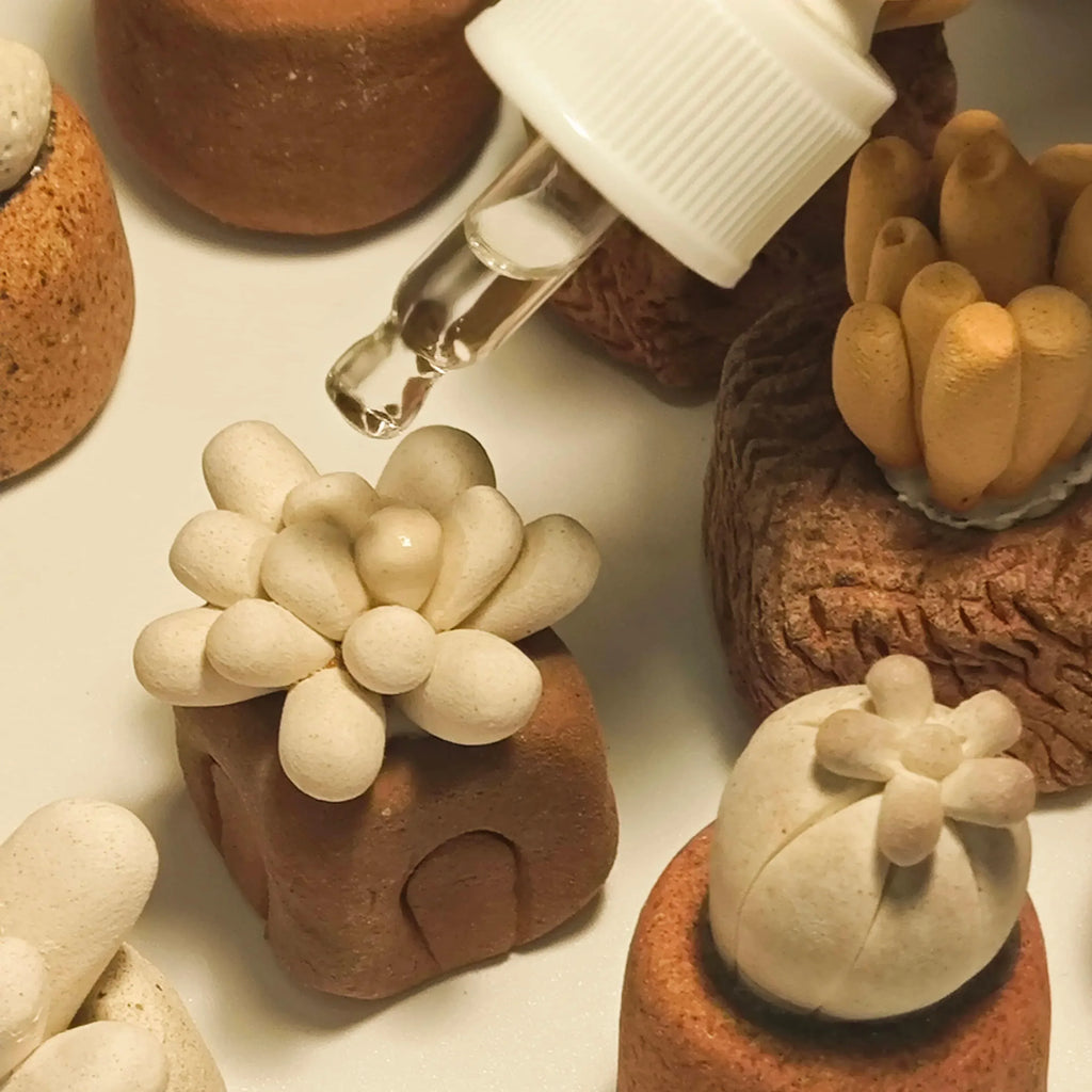 Ceramic plant ornaments | Essential oil diffusers - PetCeramicArt
