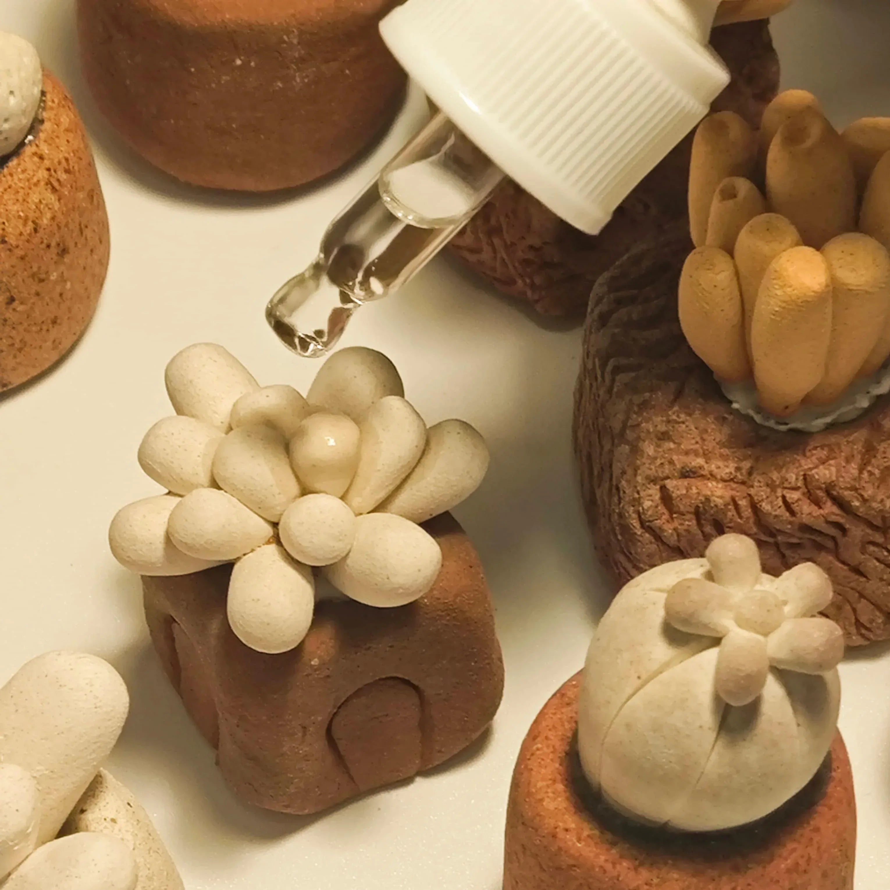 Ceramic plant ornaments | Essential oil diffusers - PetCeramicArt