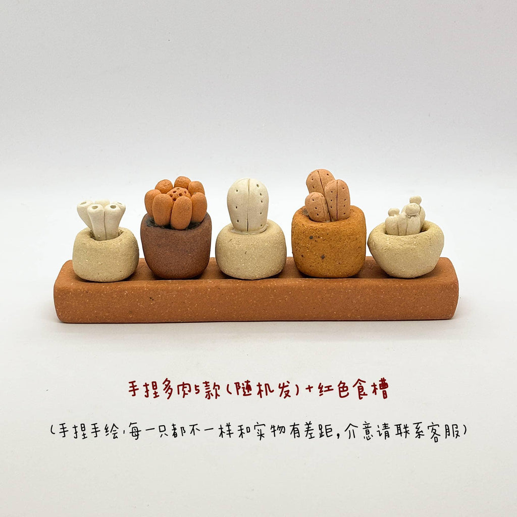 Ceramic potted plants | Essential oil diffusers | Gift sets - PetCeramicArt