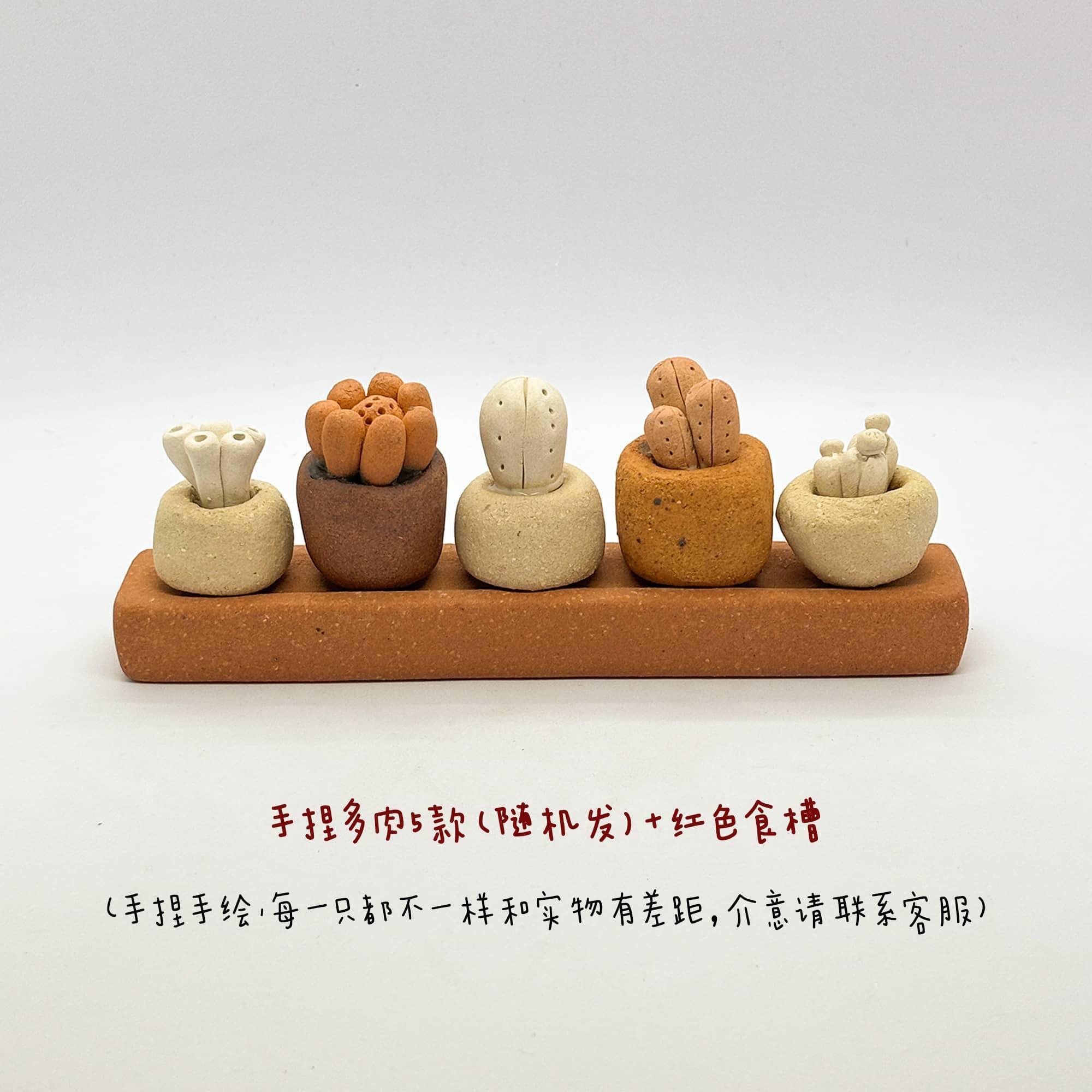 Ceramic potted plants | Essential oil diffusers | Gift sets - PetCeramicArt