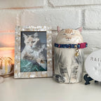 Cat Food Storage Jar/Urn-Customized Cat Memorial Gift